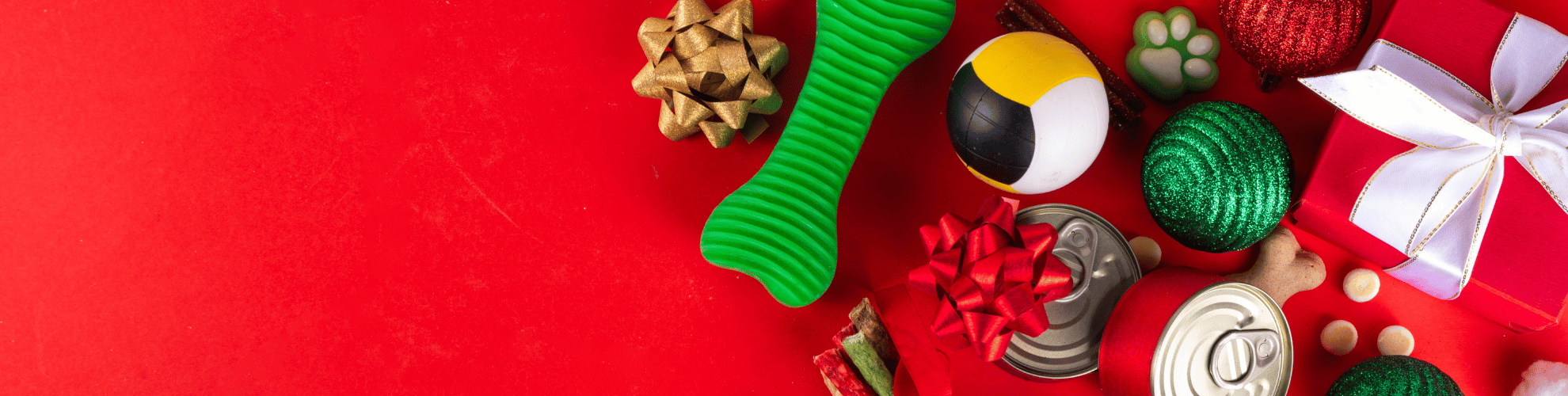 <h1>Mutz Nutz <br>Pet Shop & Pet Care</h1>