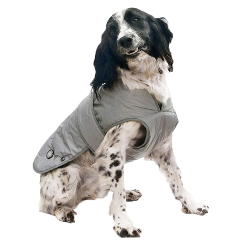 Ancol Muddy Paws Reflective Dog Jacket Small 30Cm – MutzNutz Pet Care