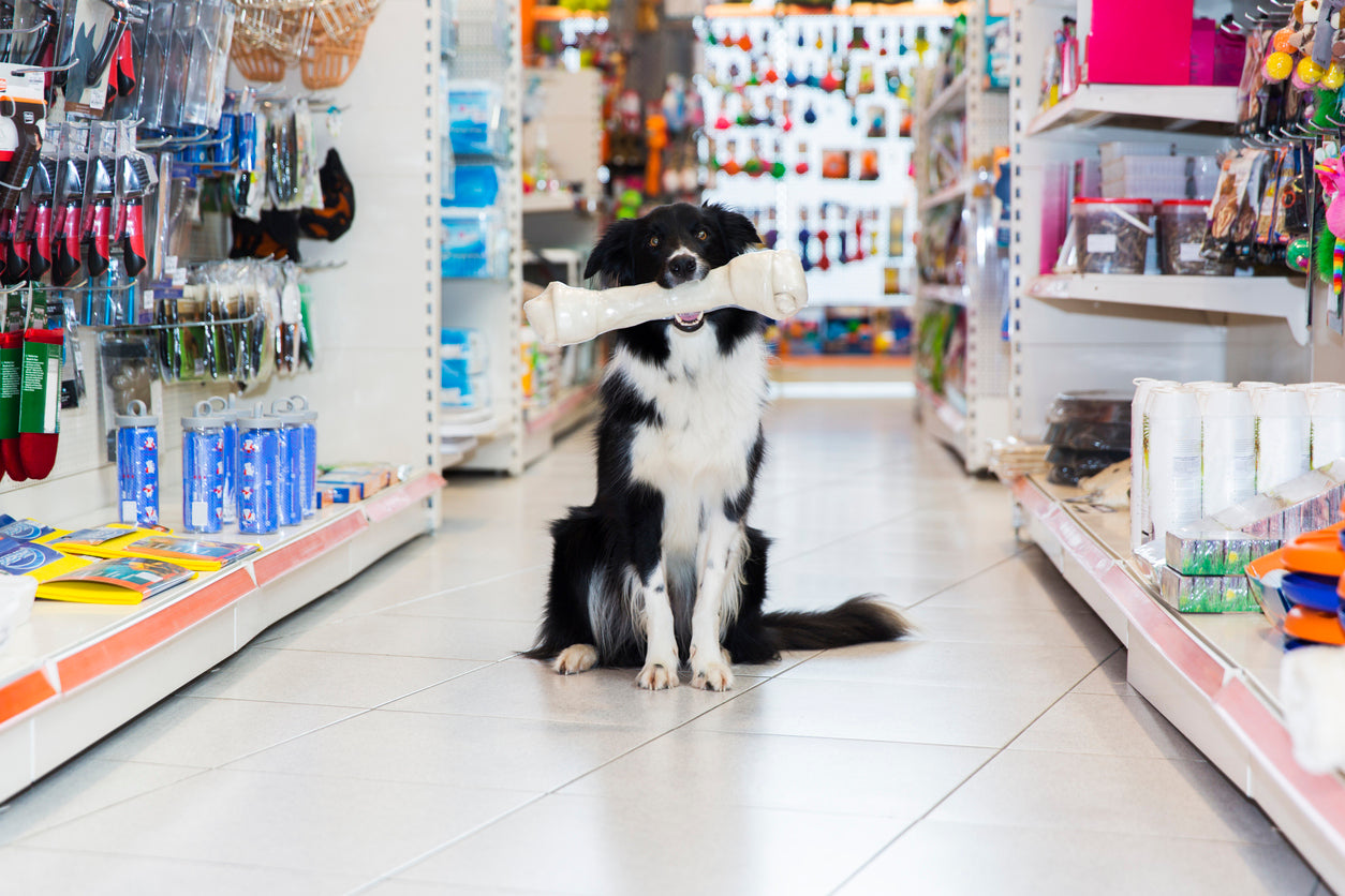 Pet Store Limerick