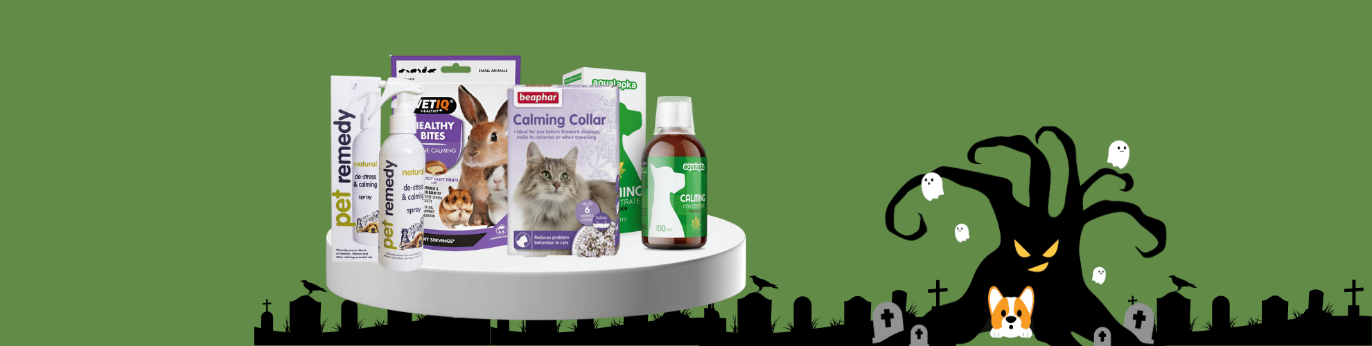 How to Keep Pets Calm During Halloween