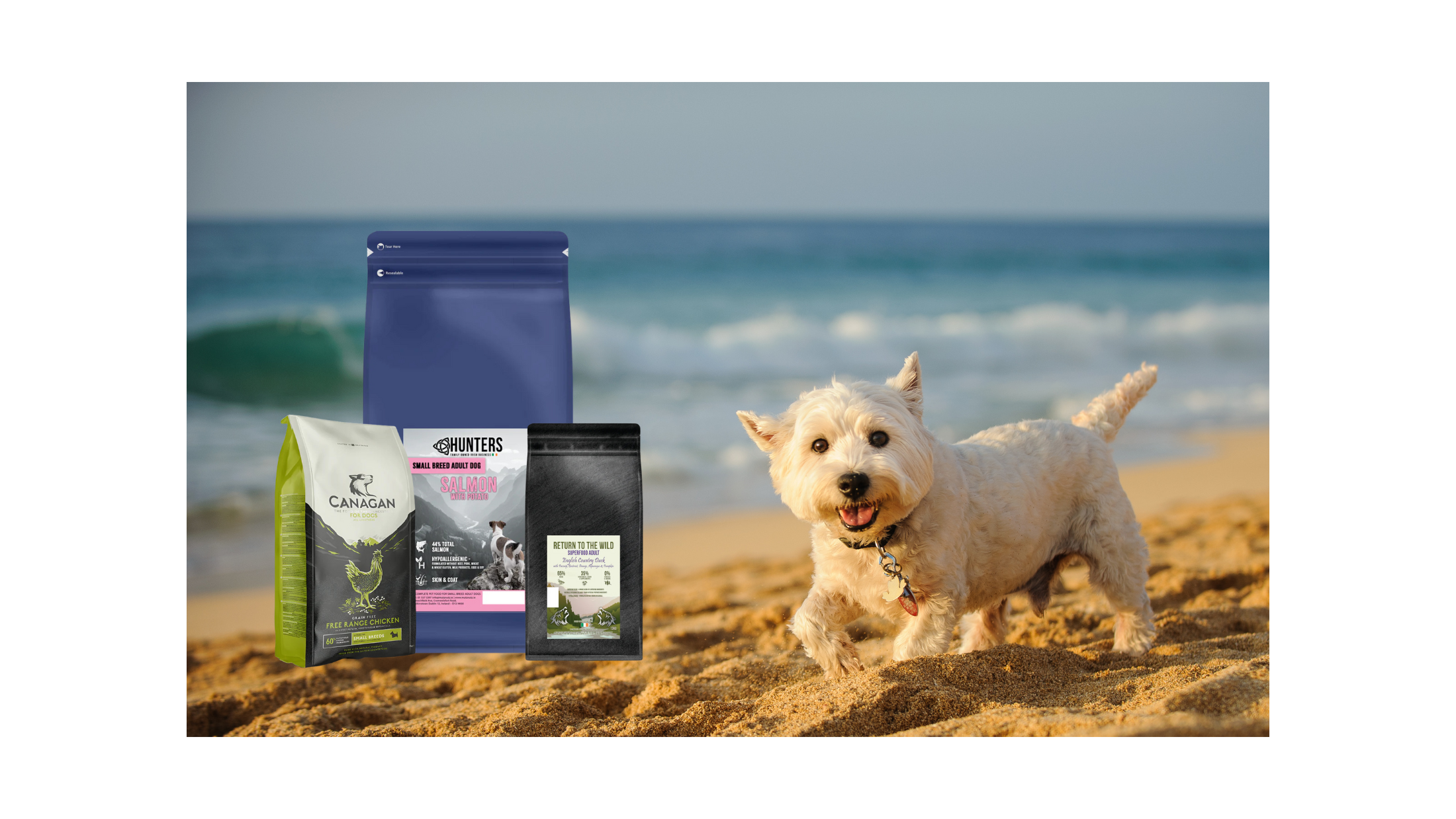 Best Food for West Highland White Terrier