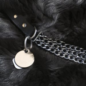 Dog ID Tags