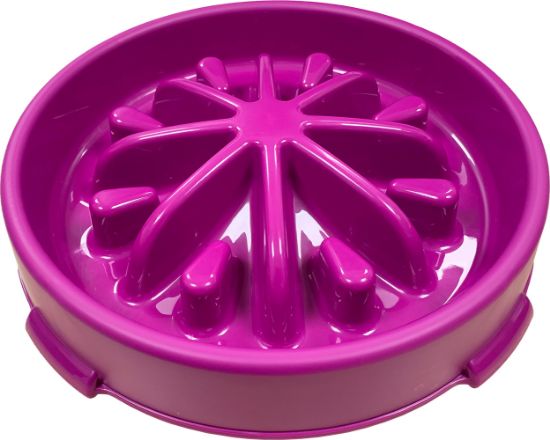 Slow Feeding Pet Bowl various colours Large 26cm