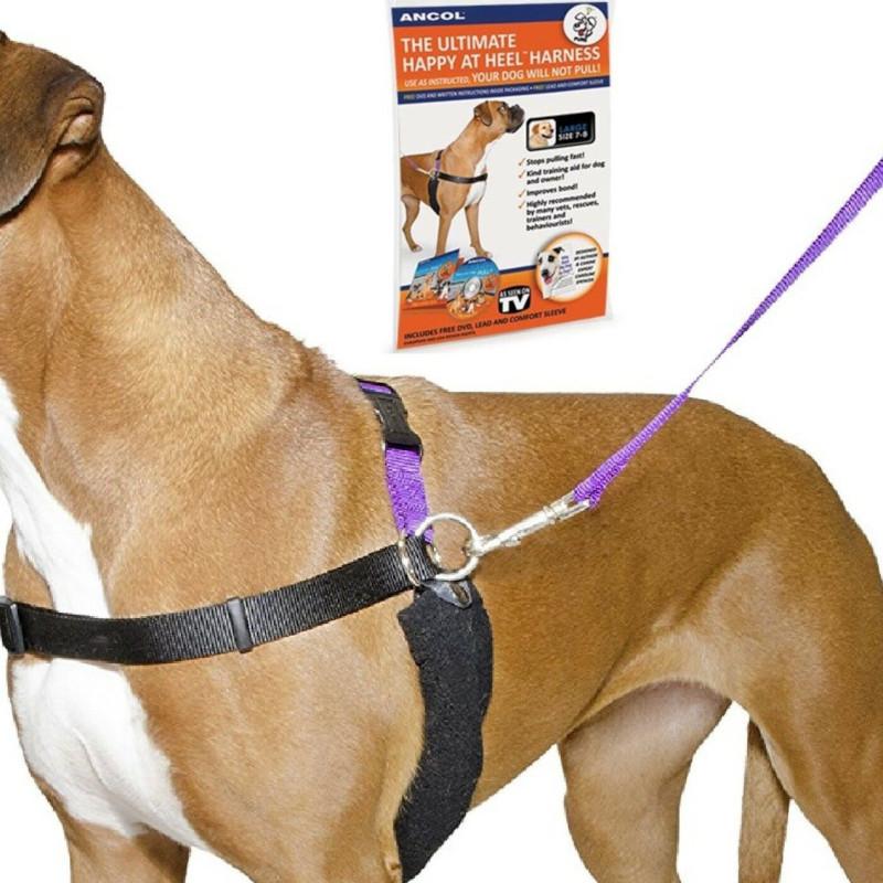 Ancol/Pure Dog Listeners - Stop Pulling Dog Training Harness and Lead Set