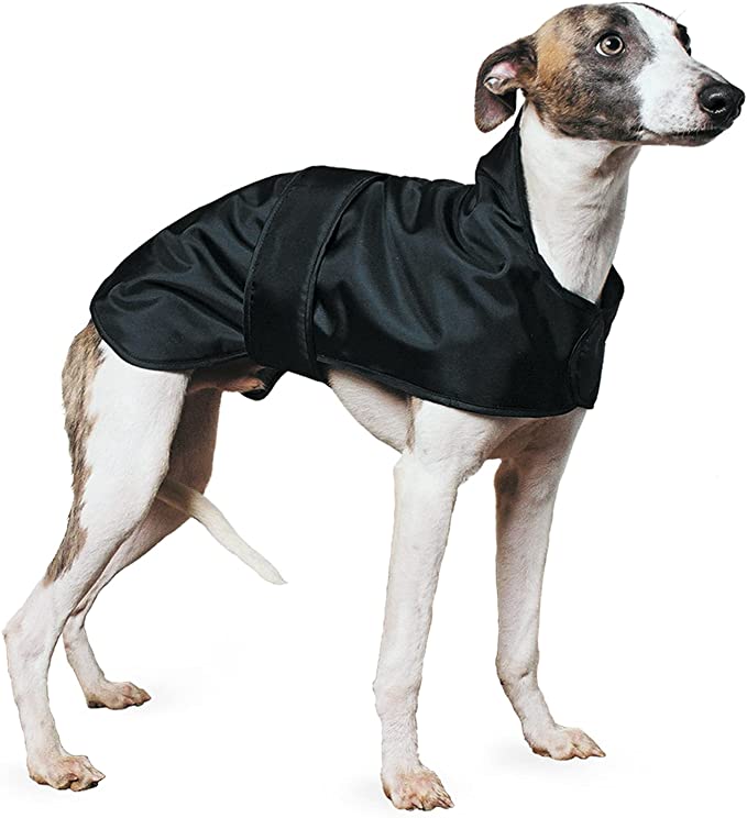 Ancol Muddy Paws hound Coat Medium 43cm