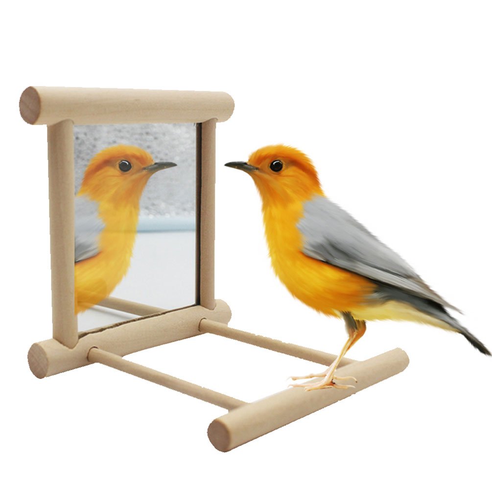 Nobby Bird Perch With Mirror