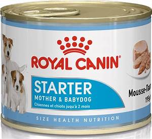 Royal Canin Dog Starter Mousse Mother and Babydog 1-2 Months 195G