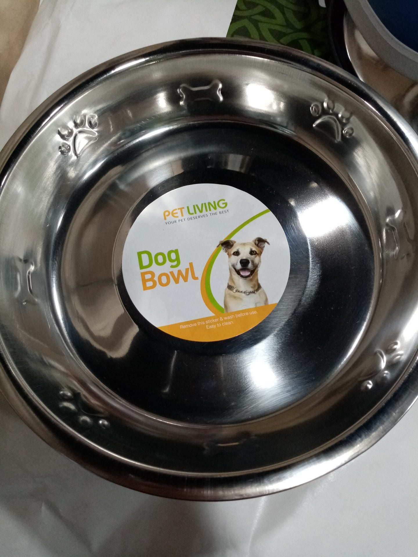 Pet Living Flat Puppy and Kitten Dish