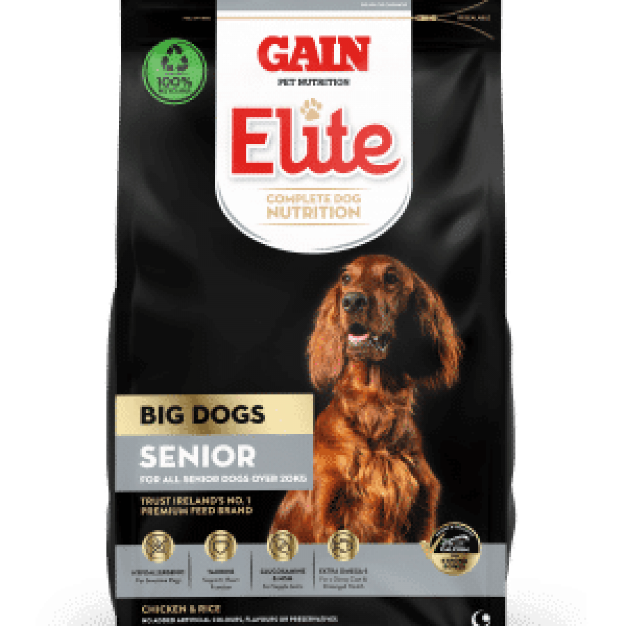 Gain Big Dog Senior Chicken & Rice 12KG