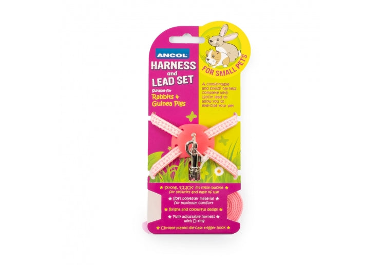 Rabbit & Guinea-Pig Lead Set