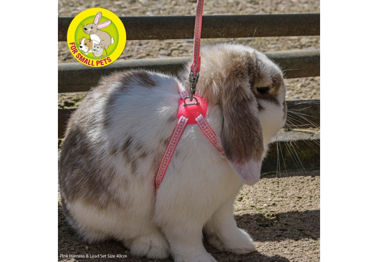 Rabbit & Guinea-Pig Lead Set