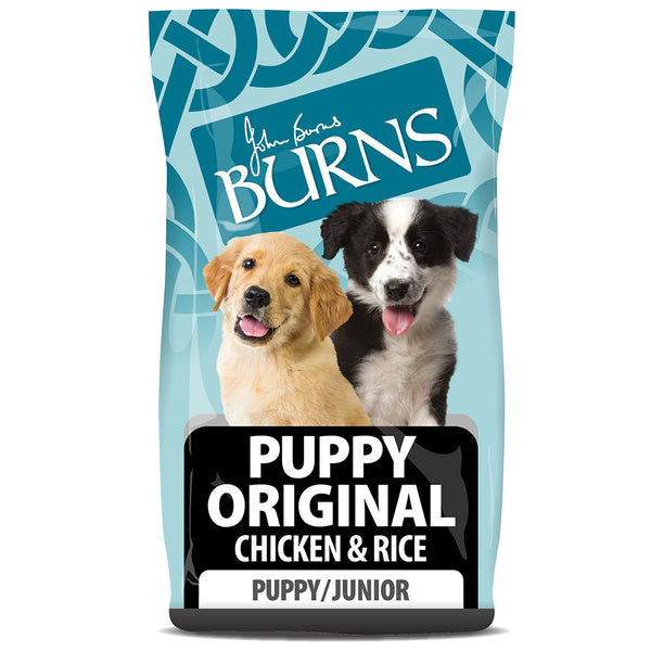 Burns