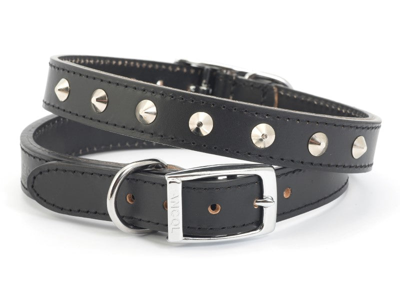 Black Leather and Studded Dog Collar