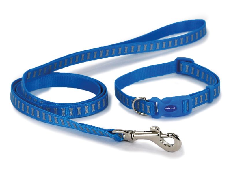 Reflective Bone Blue Matching Stars Collar & Lead