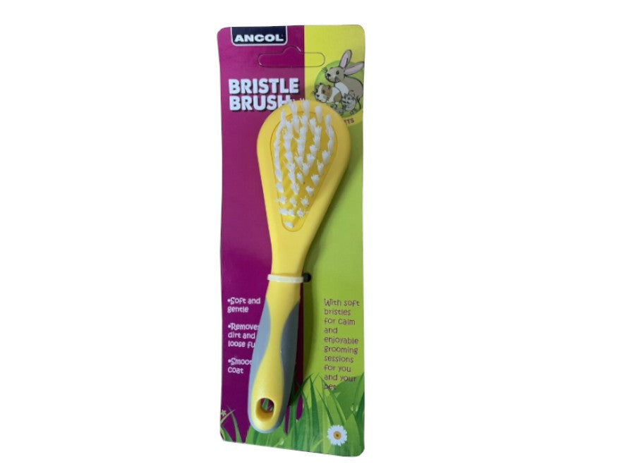Bristle Brush for Small Animals