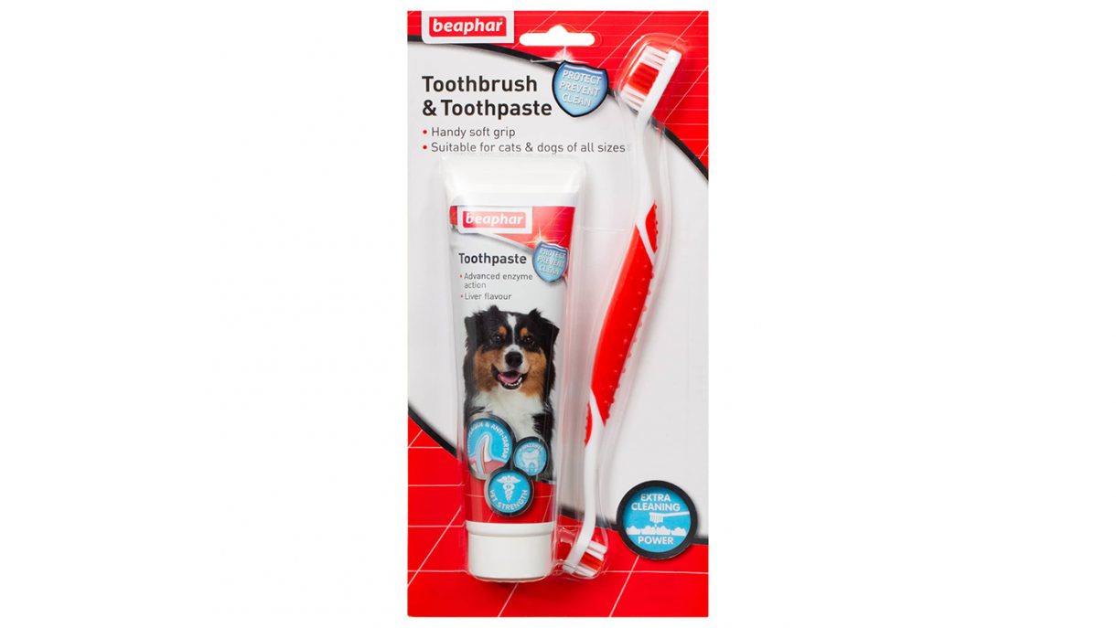 Beaphar Dental Kit For Your Dog