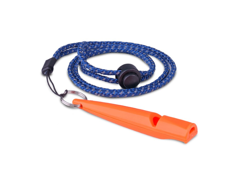 Coach Training Whistle