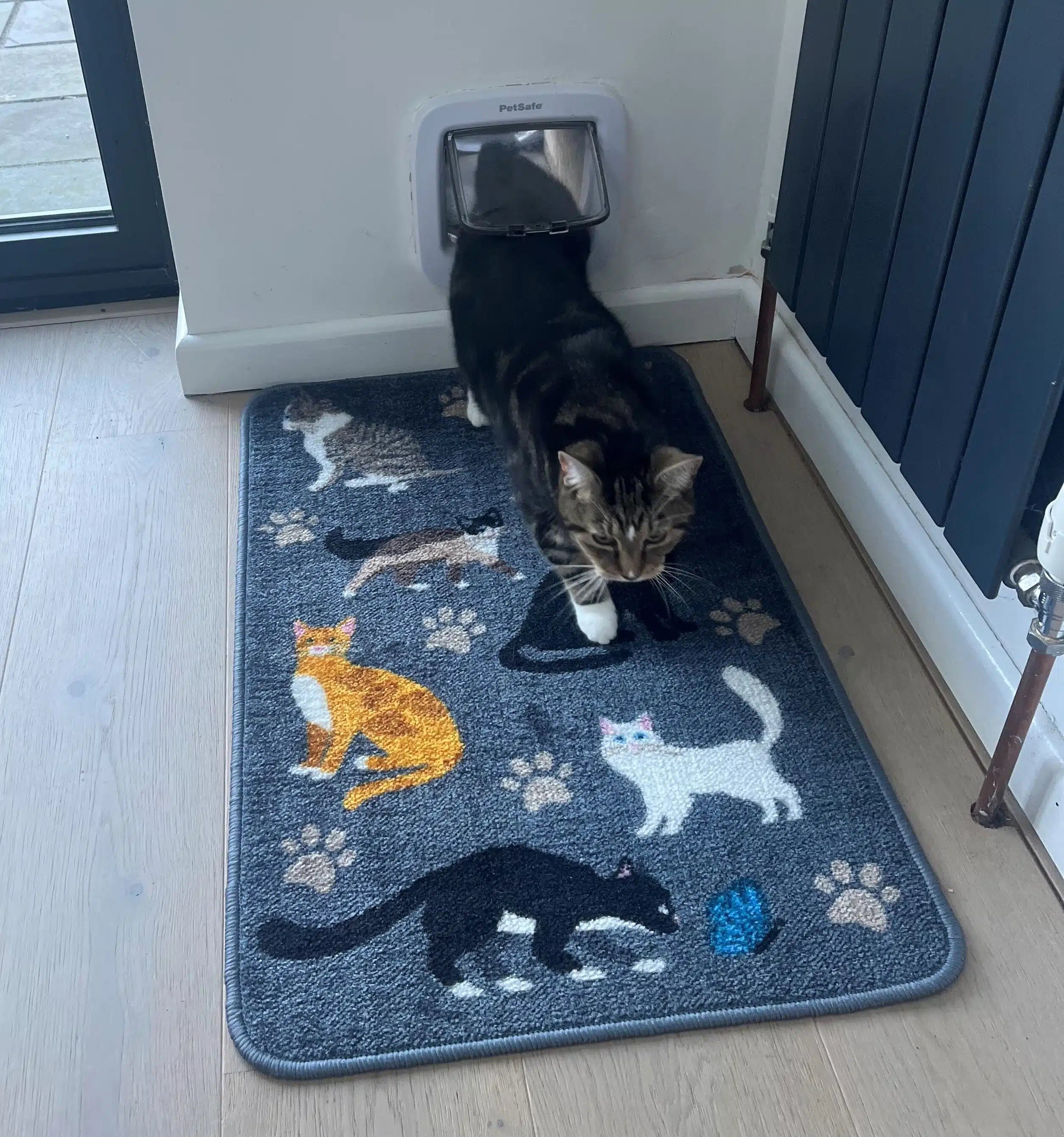 Stop Muddy Paws and Absorbent food mat Cats