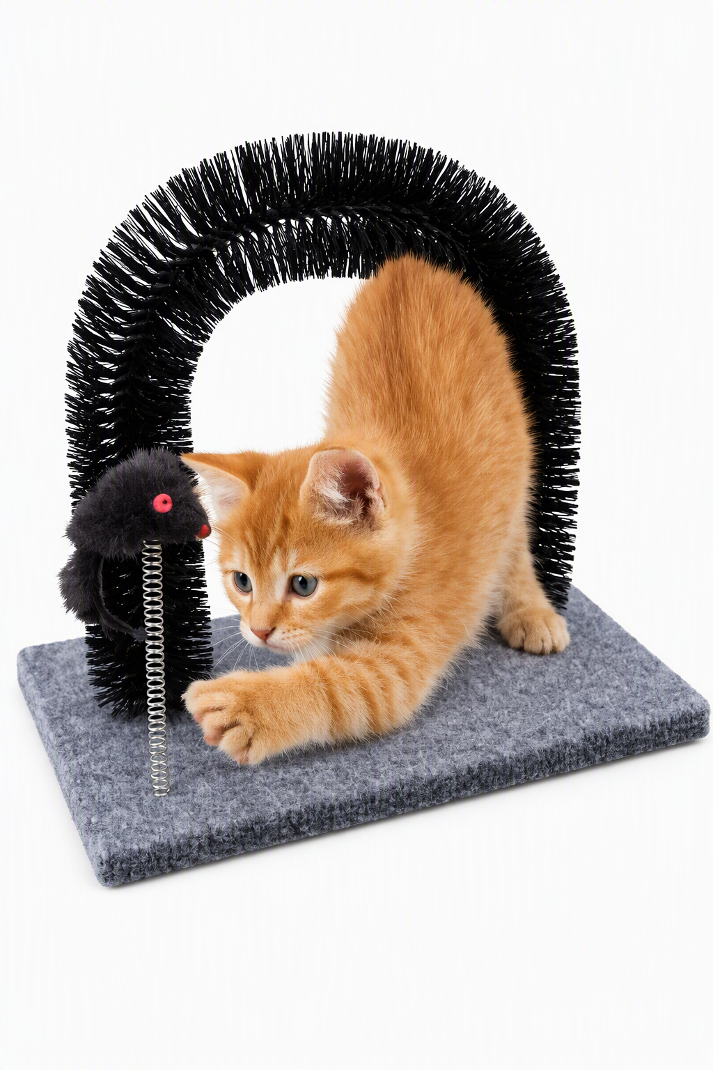 Cat Grooming Arch & Toy