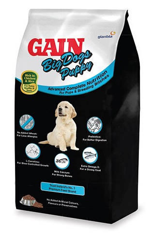 Gain Elite Big Dog Puppy - Chicken and Rice