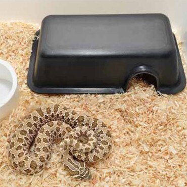 HabiStat Plastic Hides