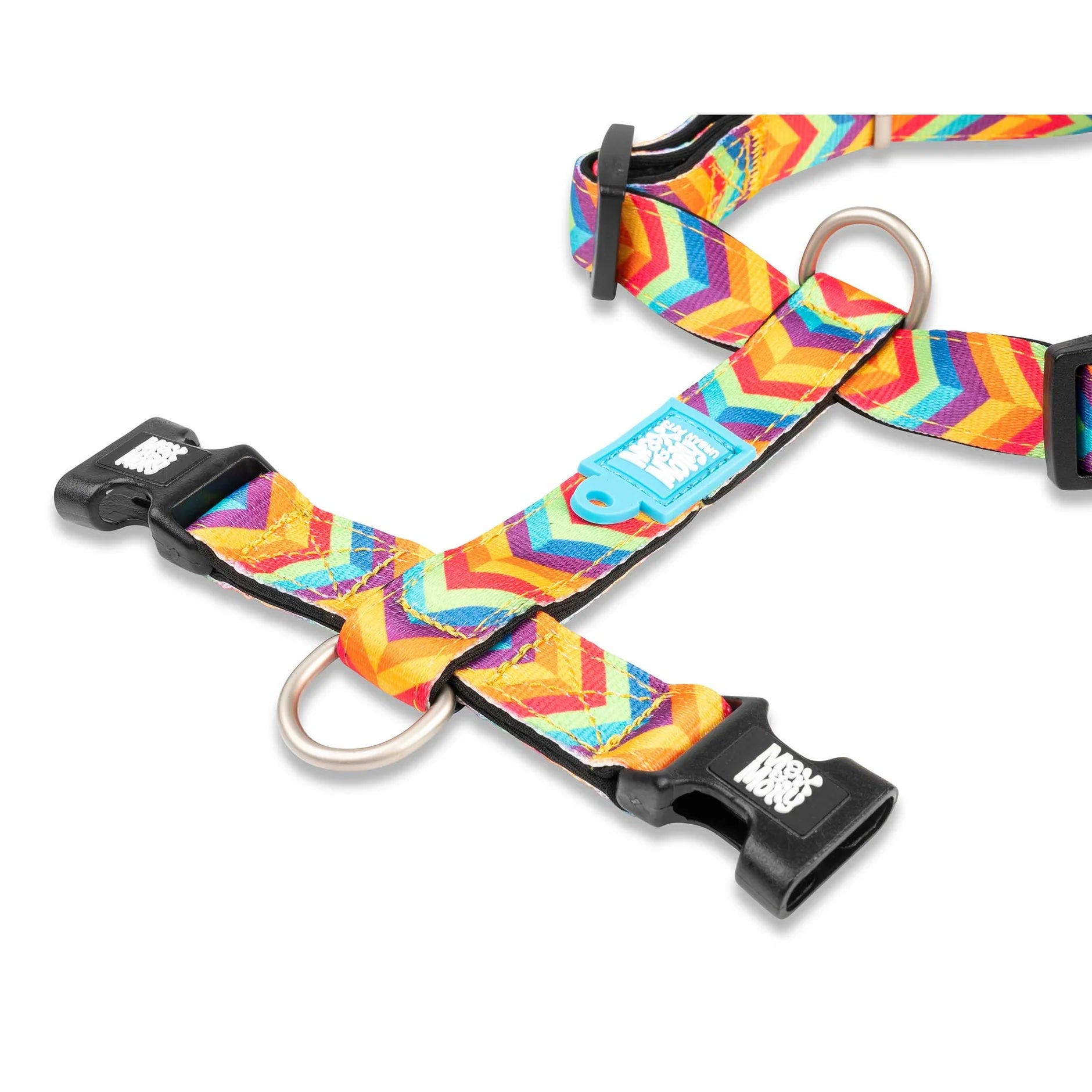 Max & Molly Summertime  H-Harness