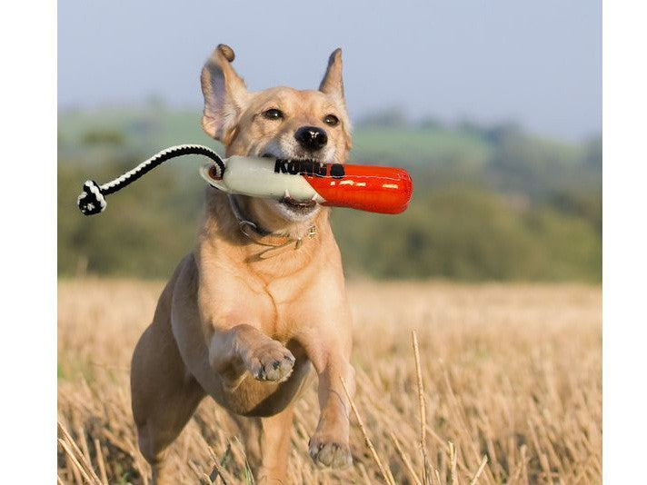 Wild Shieldz Training Dummy