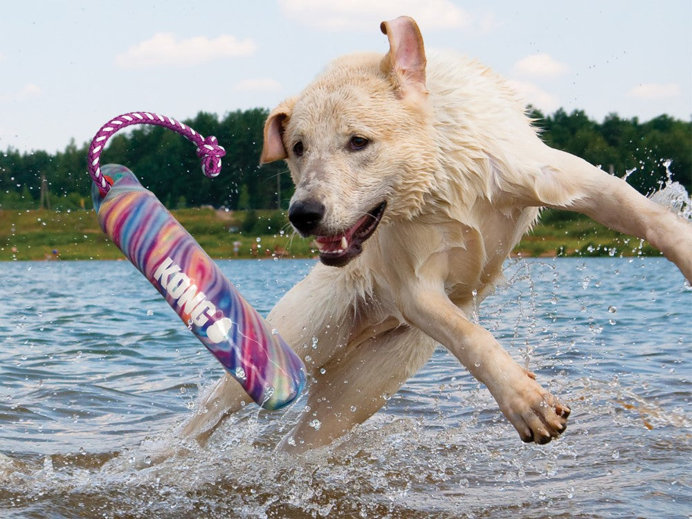 Wild Shieldz Training Dummy