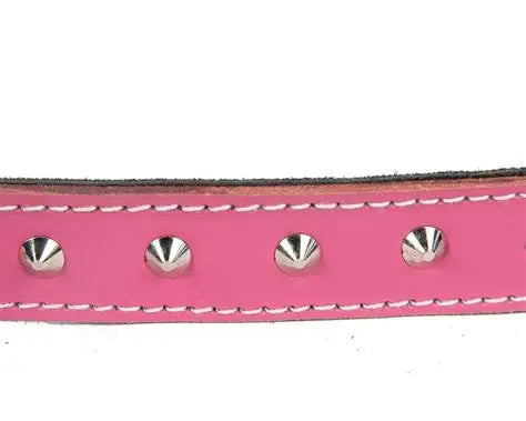 Pink Diamond Studded Leather Collar