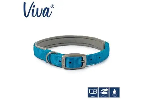 Ancol Blue Padded Dog Collar