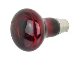 ProRep Infrared Spot Bulb (40W)