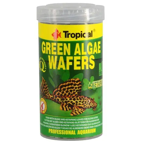 Tropical Green Algae Wafers 113g