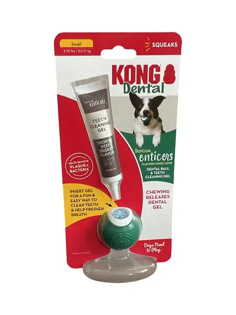 Kong Dental Ball