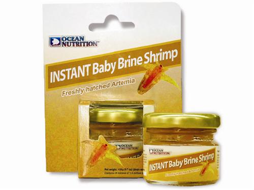 Ready-to-Use Baby Brine Shrimp – Premium Live Food for Fish Fry & Invertebrates