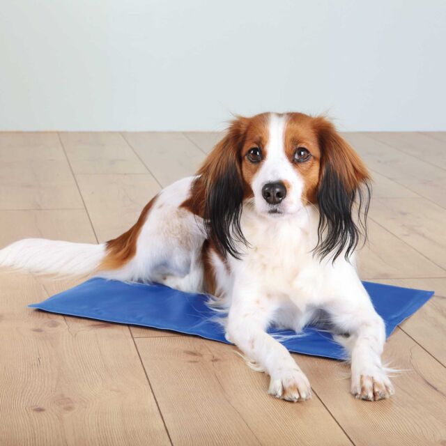 Trixie Cooling Mat for Dogs