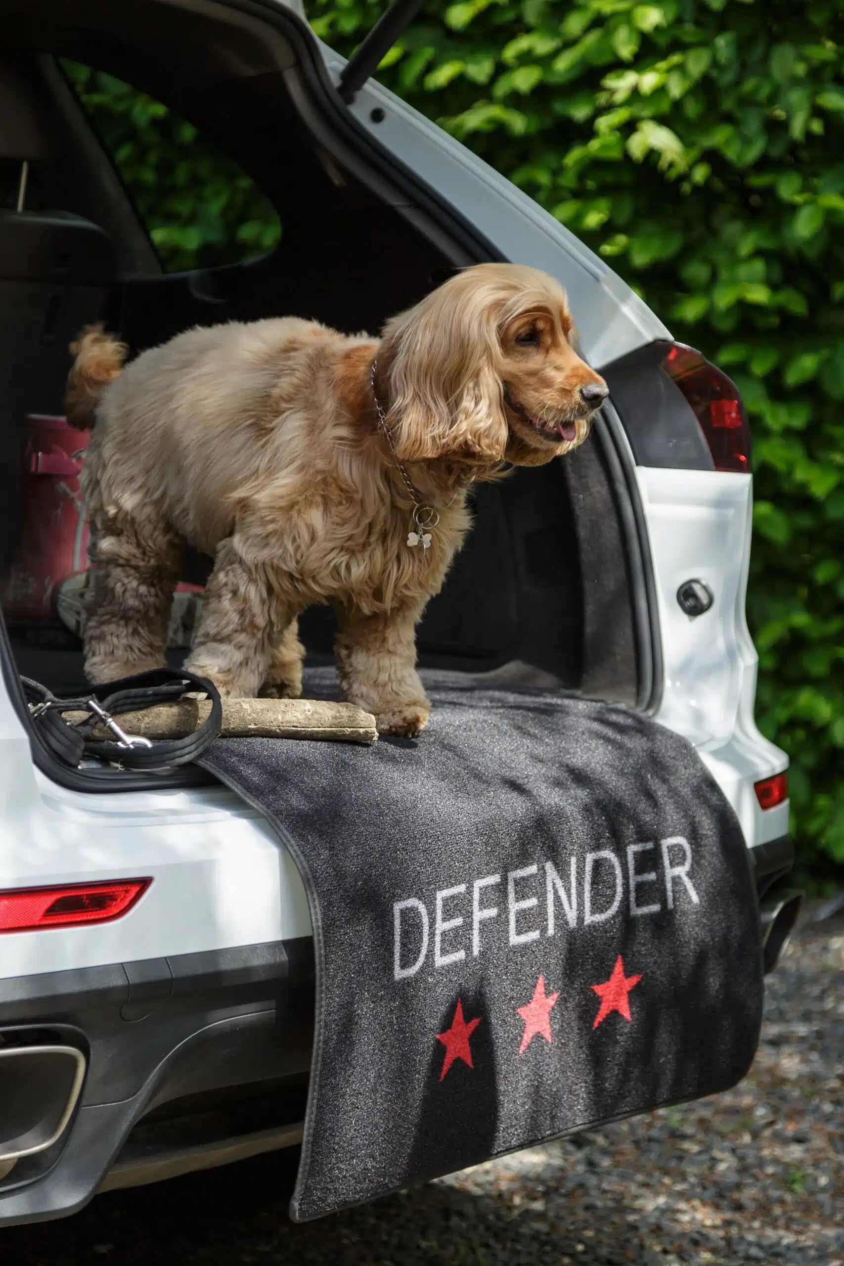 Absorb muddy paws car protectiom Defender