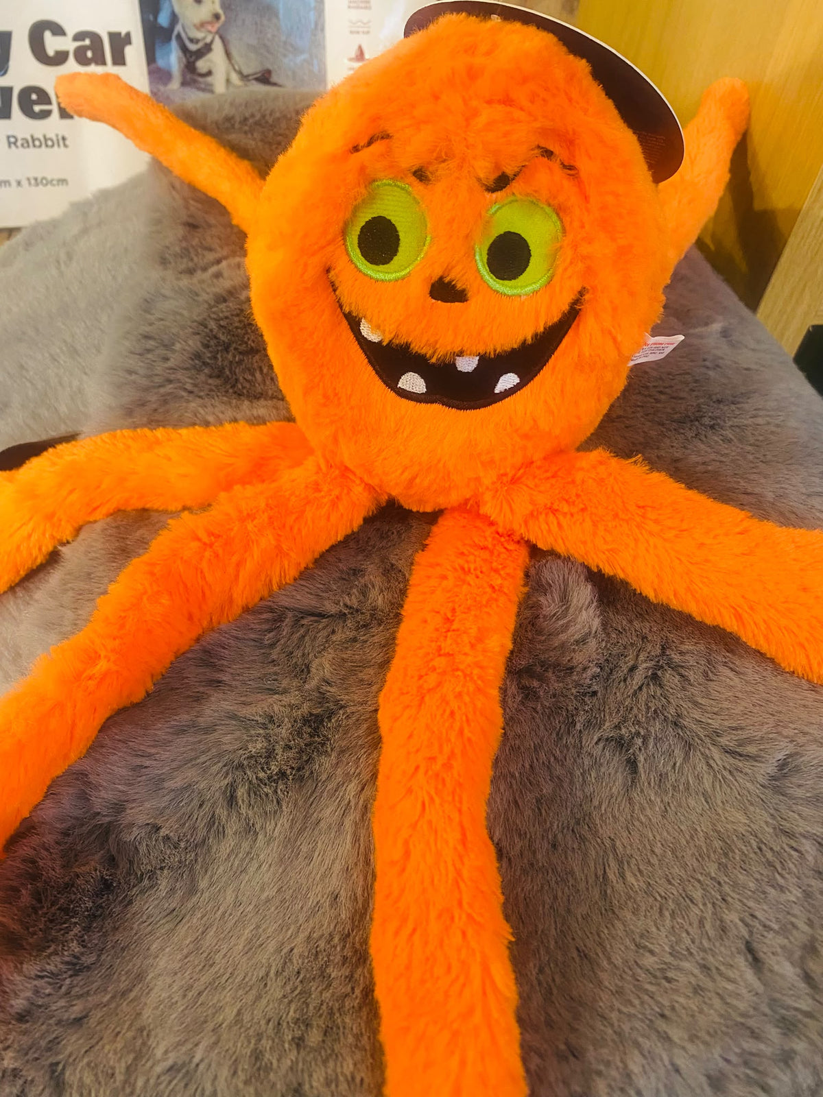 Halloween Spider Dog Toy