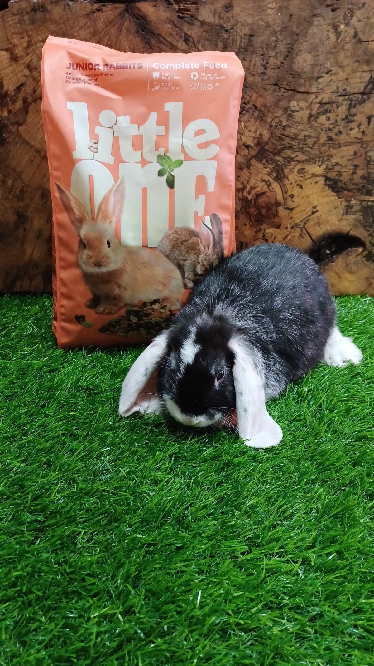 Little One Rabbits Little One Complete Feed Junior Rabbit – MutzNutz Pet Care