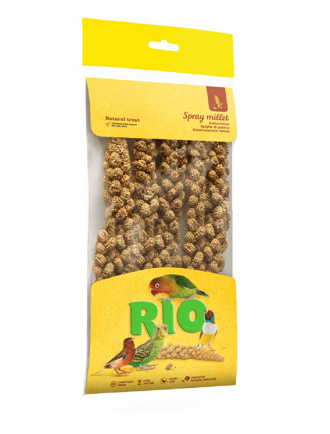 Rio Spray Millet Treat 100g