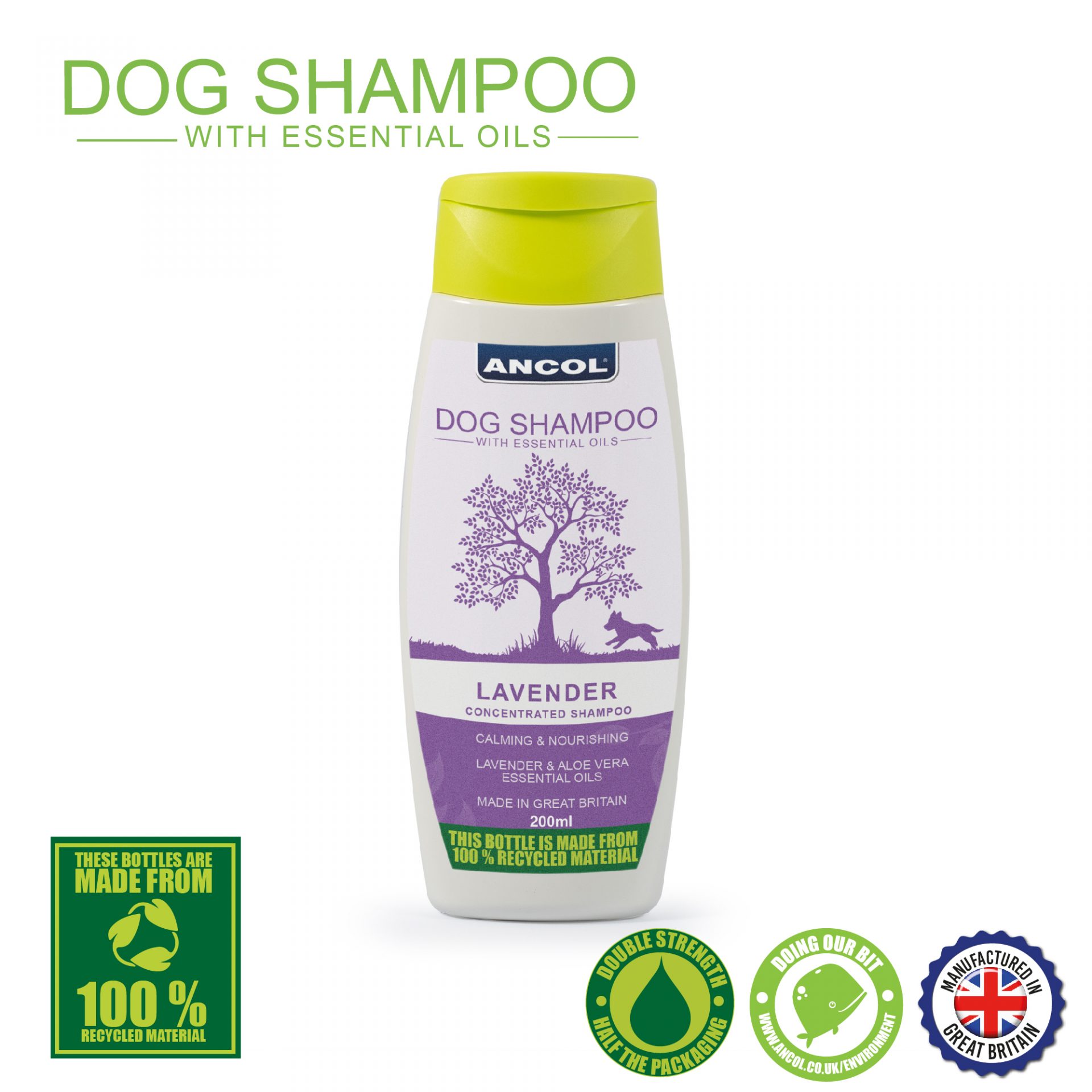 Ancol Dog Shsmpop Lavender 200ml