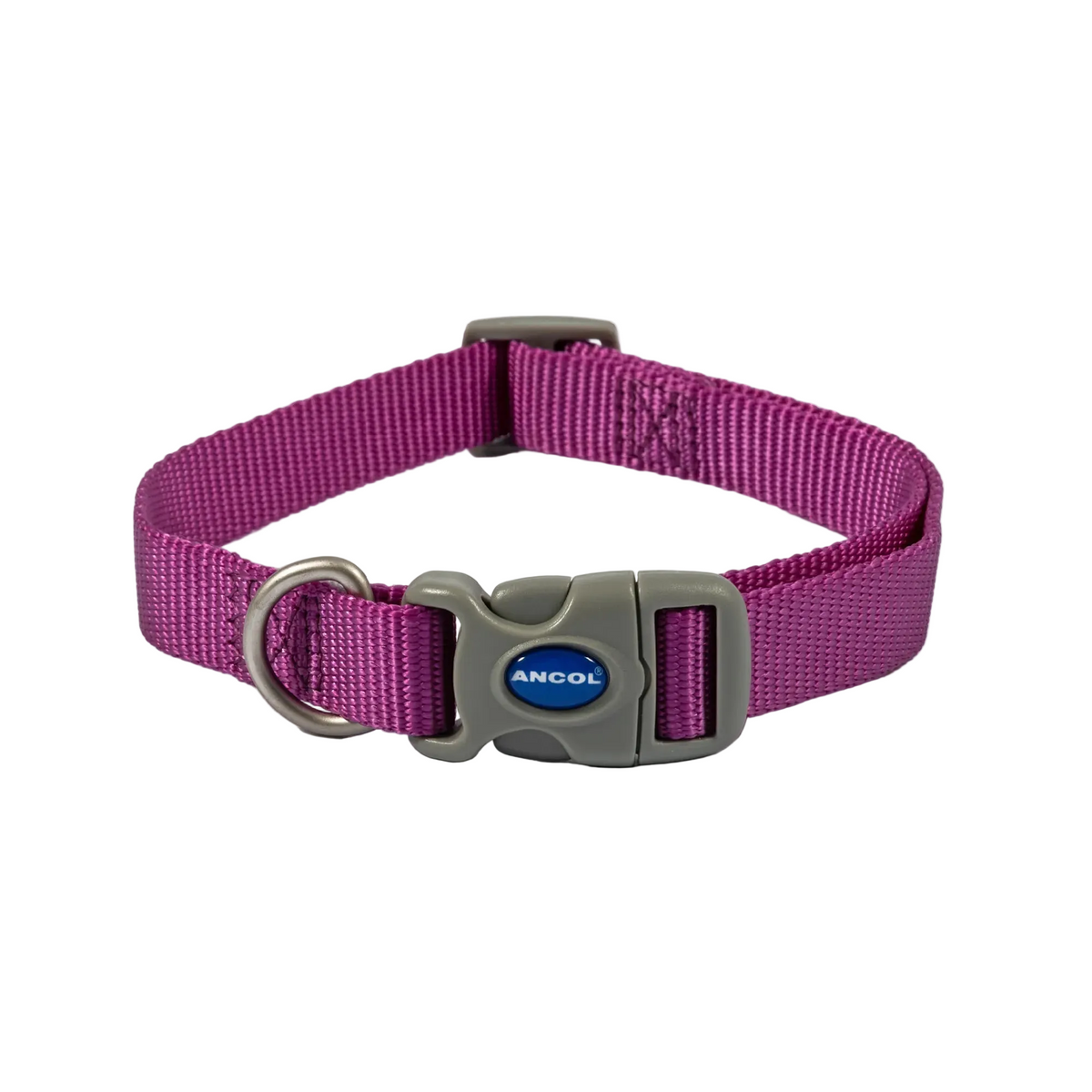 Ancol ADJ Dog Collar - Purple