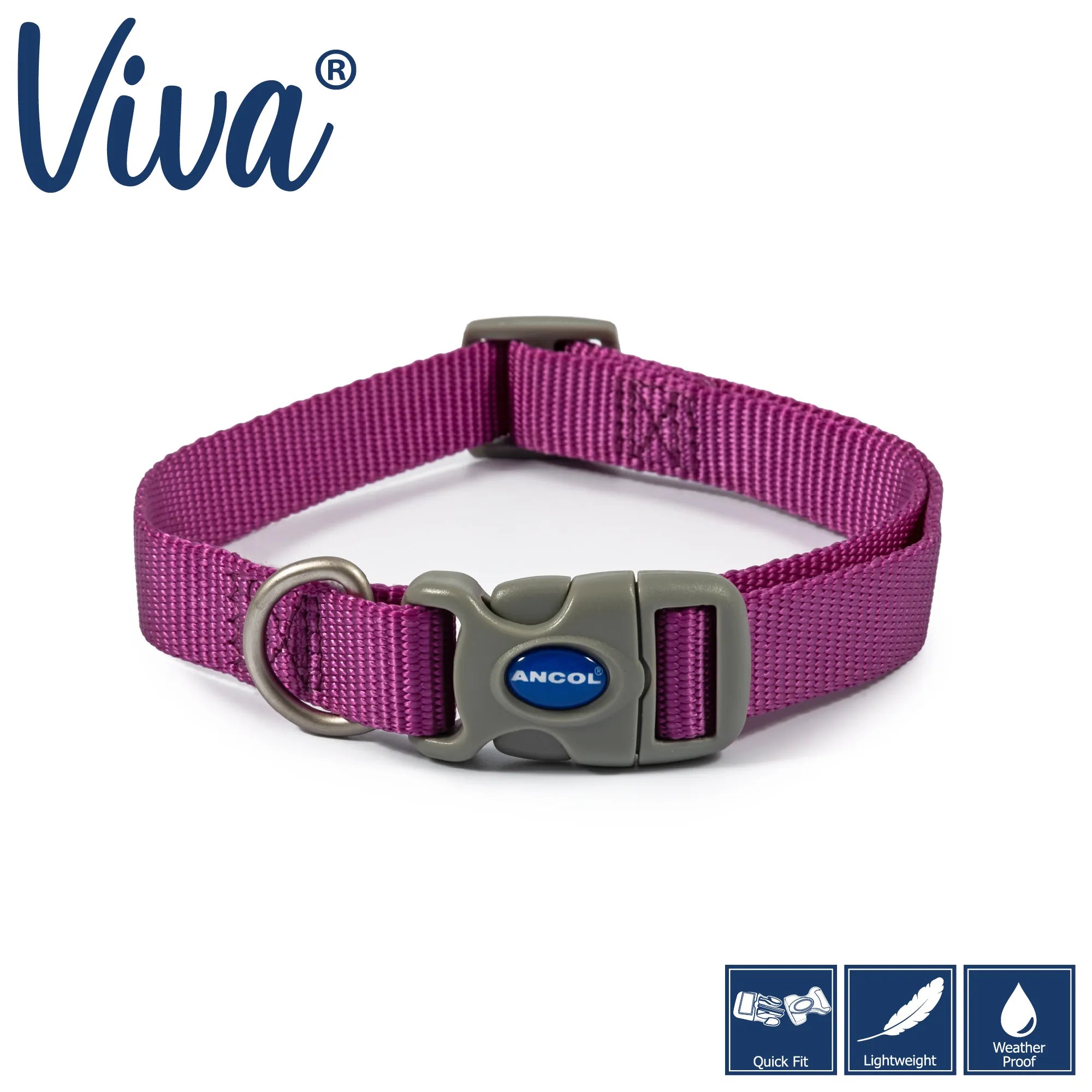 Ancol ADJ Dog Collar - Purple