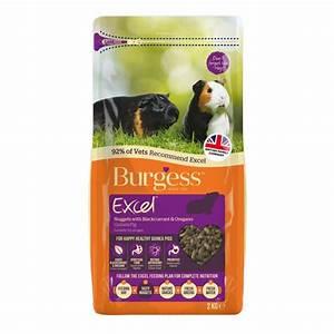 Burgess Excel Guinea Pig With Blackcurrent 2kg