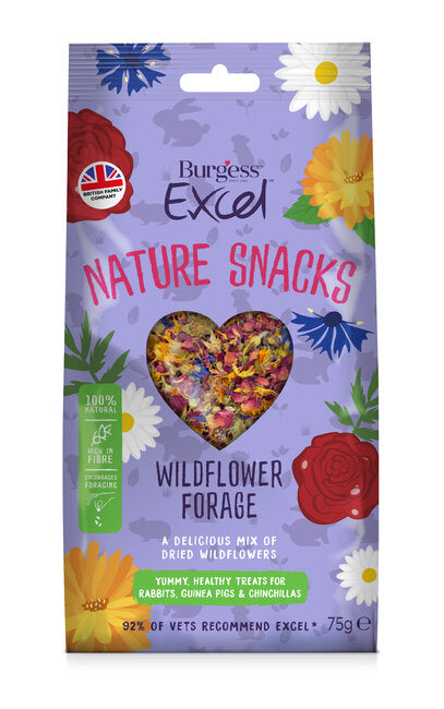 Wildflower Forage Excel Nature Snacks