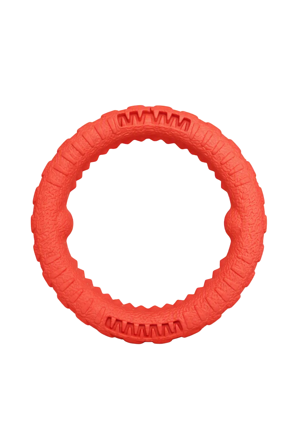 Go Fetch Floatable Dog Ring Toy