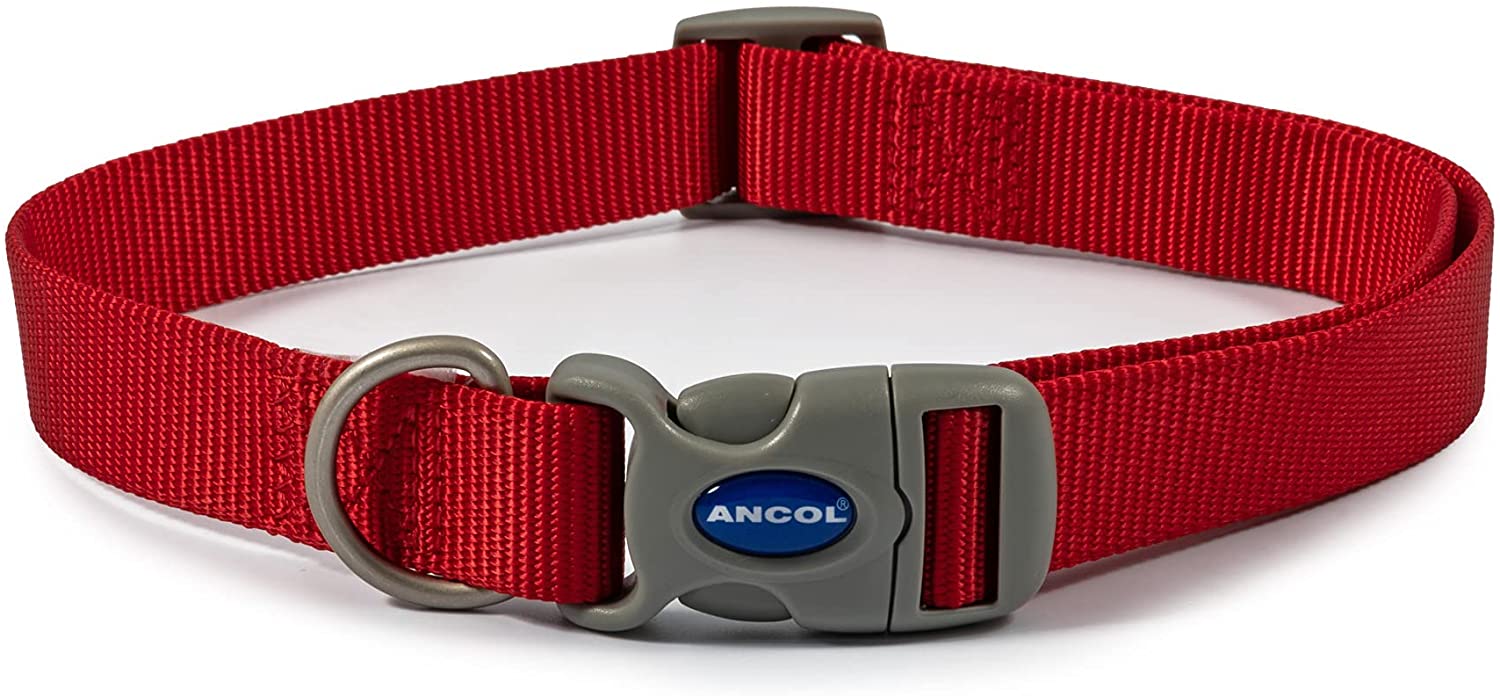 Ancol Red Collar Neck 20-30Cm