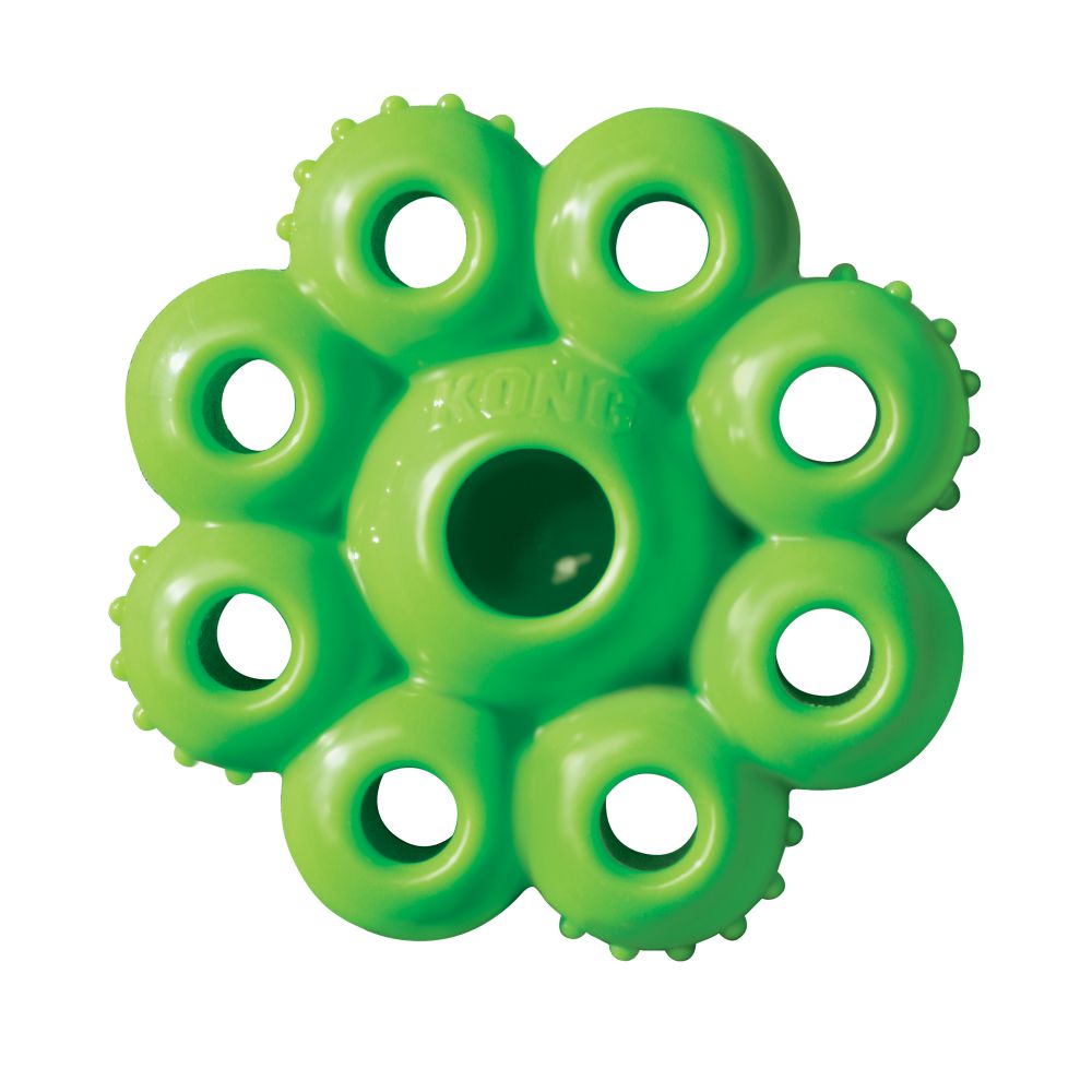 Kong Quest Star Pod Dog Toy