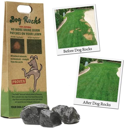 Dog Rocks urine patch preventer