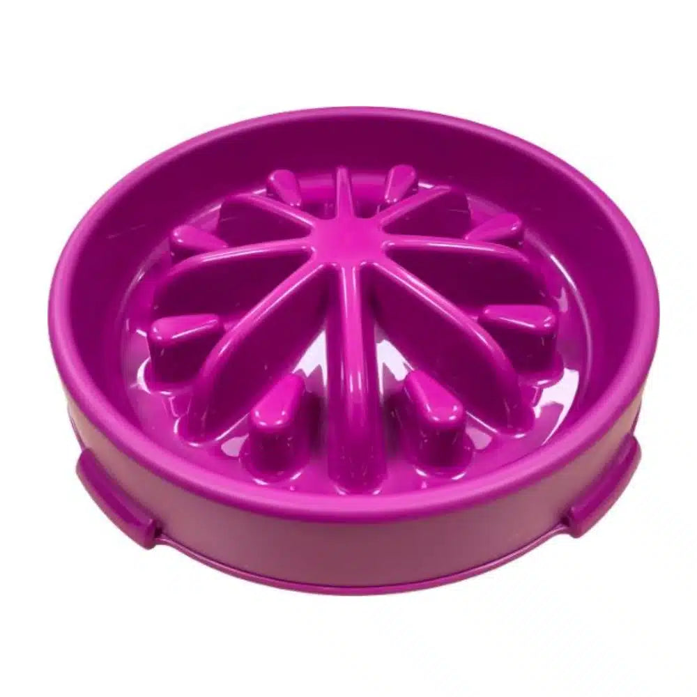 Large Pink Hem and Boo Slow Feeder Pet Bowl