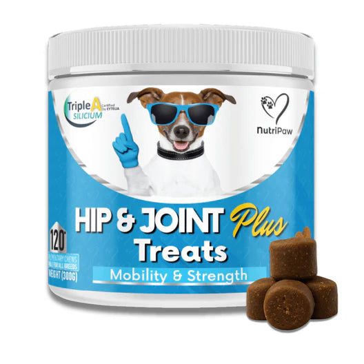 Hip & Joint Treats Plus – Advanced Mobility Support for Dogs